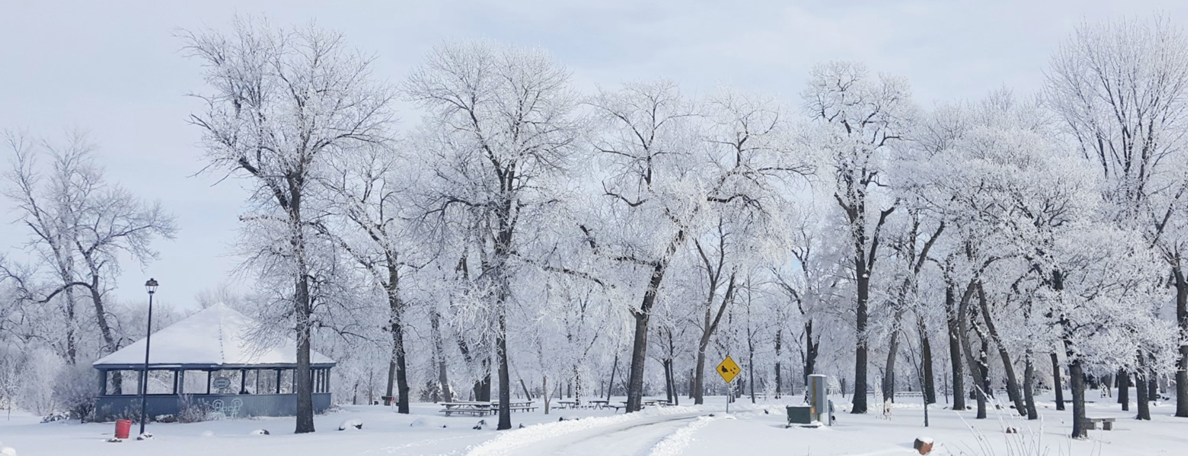 A snowy landscape with several bare trees with frosted limbs. A small blue yurt-like structure is off to the left side, under a lamp post.