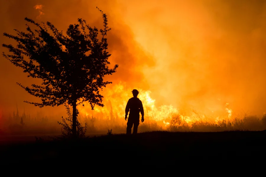 A firefighter stands silhouetted beside a tree as a field burns behind him. // Photo by Jake Parrish